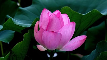 C4CE8DD1-7D5B-40A4-8DC8-D9A884834426/L0/001