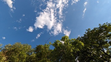 904272F6-A724-4958-8A96-8AC2DE454AFB/L0/001