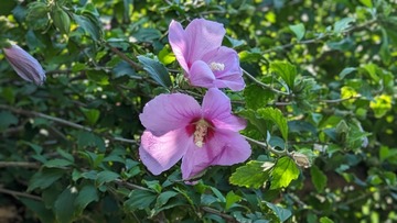 12C2799F-BB95-47B2-9EB8-7175769581F6/L0/001