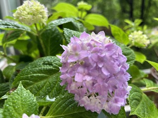 4D18AE8E-6D43-4E66-AD2F-E7B0B6217060/L0/001