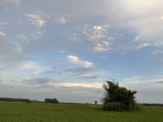 FADDEEC7-6D41-4400-B1DF-43424D222684/L0/001