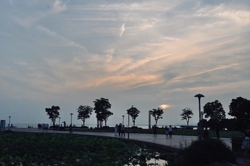 8DD5C197-5466-4E01-8BA0-D664BDE33115/L0/001