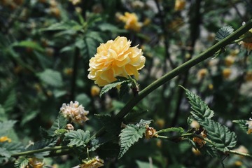 22556F2F-885F-4349-B37B-BF87FE419B42/L0/001