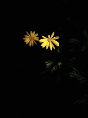 04CC4E09-8C9E-4E29-995F-B8EEC99A5C42/L0/001