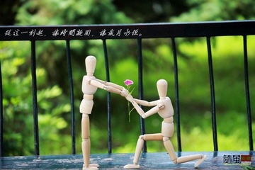 IMG_0045.jpg