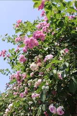 616940DD-AF62-451C-8866-5B7660050CC3/L0/001