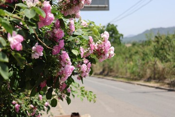 99886022-A029-4CF7-A0A6-F287FA81F079/L0/001