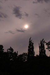4EE50096-5FA8-474A-8E42-A814B89BD925/L0/001