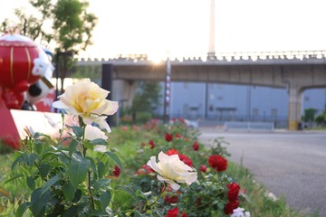 C6064944-8B10-43B0-868E-EA7FF69727E4/L0/001