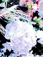 576353A4-81D6-4627-AE8B-C800D6FA5A02/L0/001