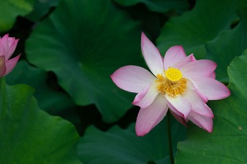 E2E46779-BB93-4E29-B24D-F35921FE80A2/L0/001