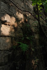 D712296A-ABF1-4304-99FA-F38F2353FC9C/L0/001