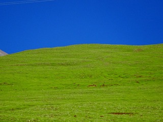 6D1F5774-AB8C-44E8-9352-A7DA7BA3B6DD/L0/001