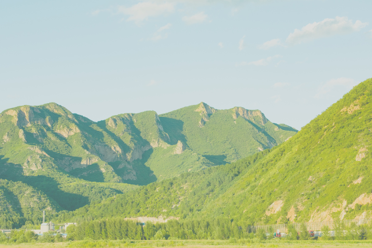 承德围场四合永湿地公园的景色