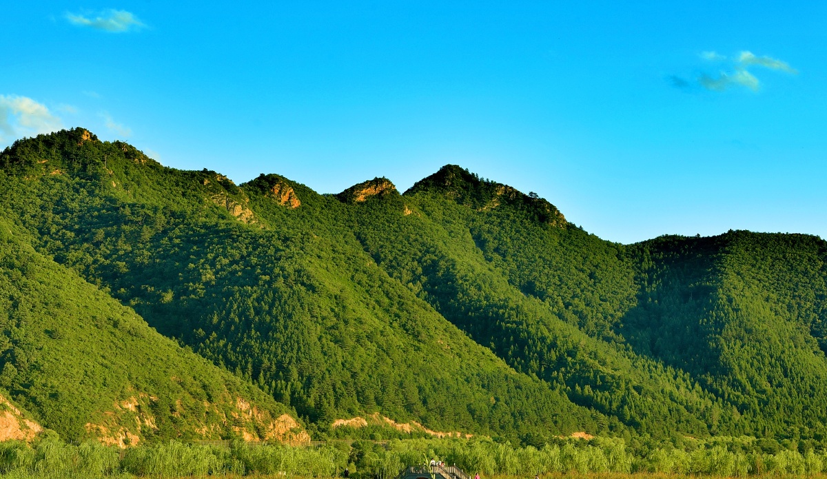 承德围场四合永湿地公园的景色