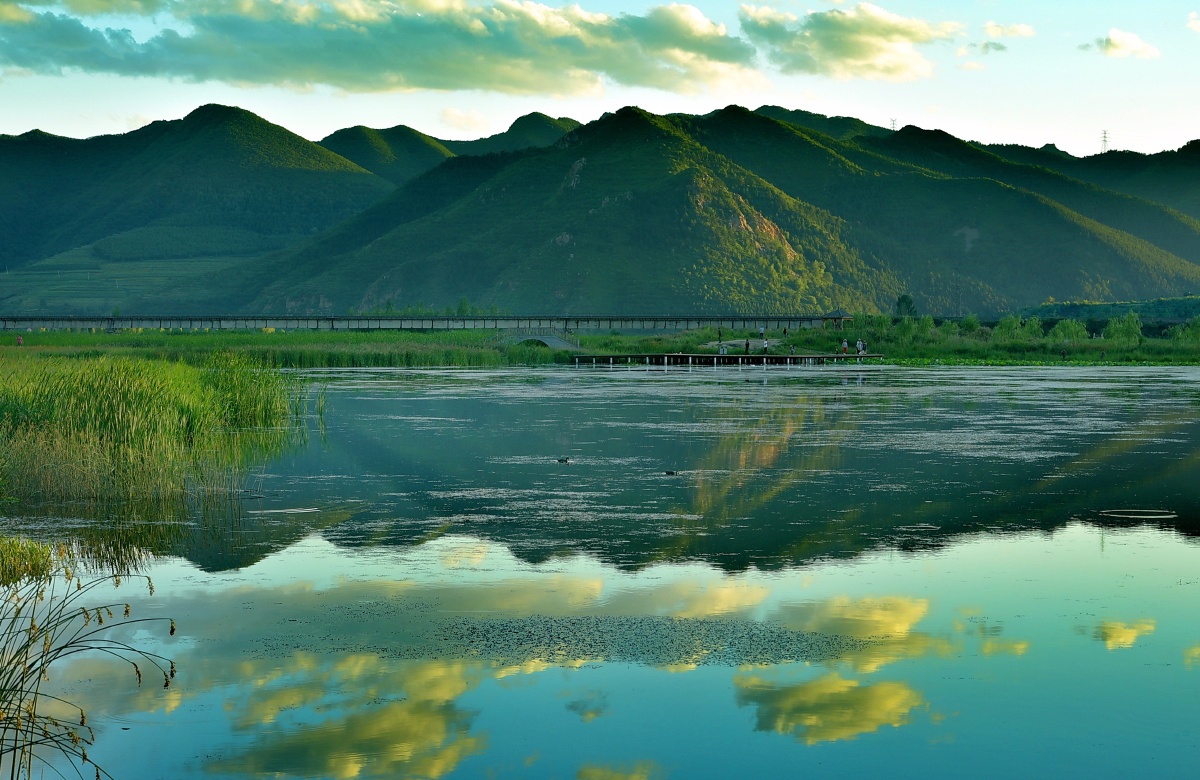 承德围场四合永湿地公园的景色