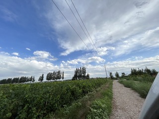 05B4E1F4-8948-4DA7-A0E2-E07E53866A3B/L0/001