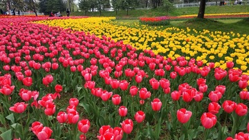 1331