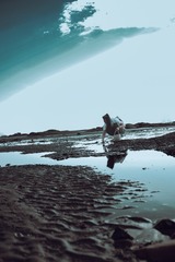 001