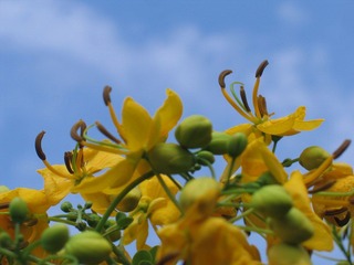 IMG_6024.JPG