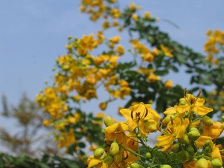 IMG_6017.JPG