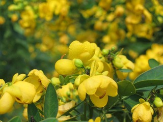 IMG_6040.JPG
