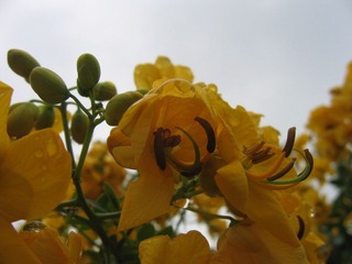 IMG_6066.JPG
