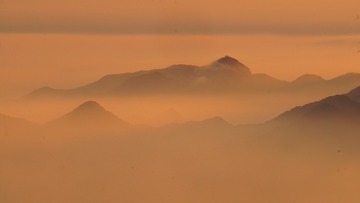 1000231306