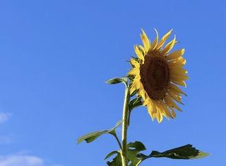 C26EA90F-BFA4-4922-8C88-484F01643C78/L0/001