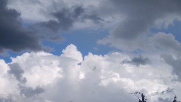 2441153