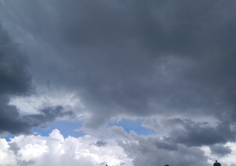 2441146