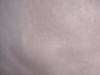 2439736