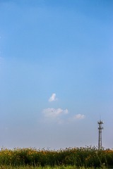 1000064607