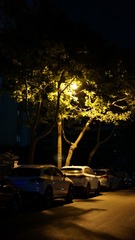 F223E3B8-46F4-40E9-A272-0F4B75FCF519/L0/001