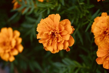 F70B0741-C285-401B-9216-041B9C2EEE68/L0/001