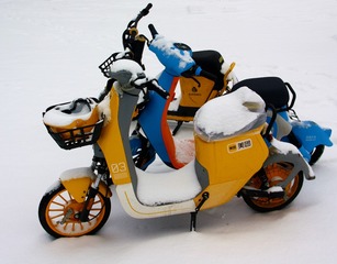 1000015613