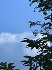 58D57931-4758-4D9F-BAE0-C71ECAE0C409/L0/001
