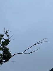 7791699E-FACC-423C-9891-4F9AE239B3BC/L0/001