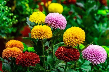 55F9F5E0-D66B-424A-AF22-C08CFE2302F9/L0/001