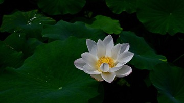 094FA6A7-55EF-472E-B42E-9552C67A8DAC/L0/001