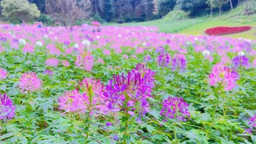 D4DB4133-AB92-40BF-A0ED-1610A455EEC6/L0/001