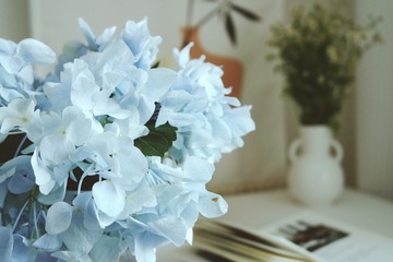 1B3323B2-7FE5-46E3-908B-00FBD0A4208F/L0/001
