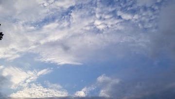 296222