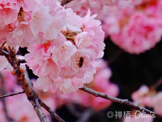92981019-875C-4DF4-8E02-E8AFBC7F74BC/L0/001