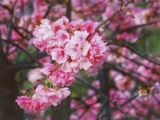 9CB22A6C-E910-43F2-A9AB-B508AC3B7549/L0/001