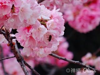92981019-875C-4DF4-8E02-E8AFBC7F74BC/L0/001