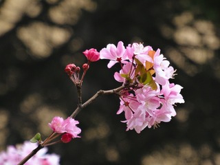F85C21AE-53E6-496B-B133-9E95DDA7B6D5/L0/001