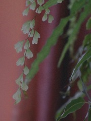 427A2C14-9920-46A3-8D60-D8BD740F55F4/L0/001