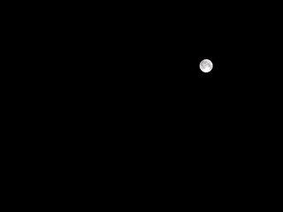 654636