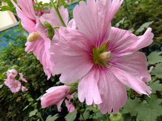DSCF3340.JPG